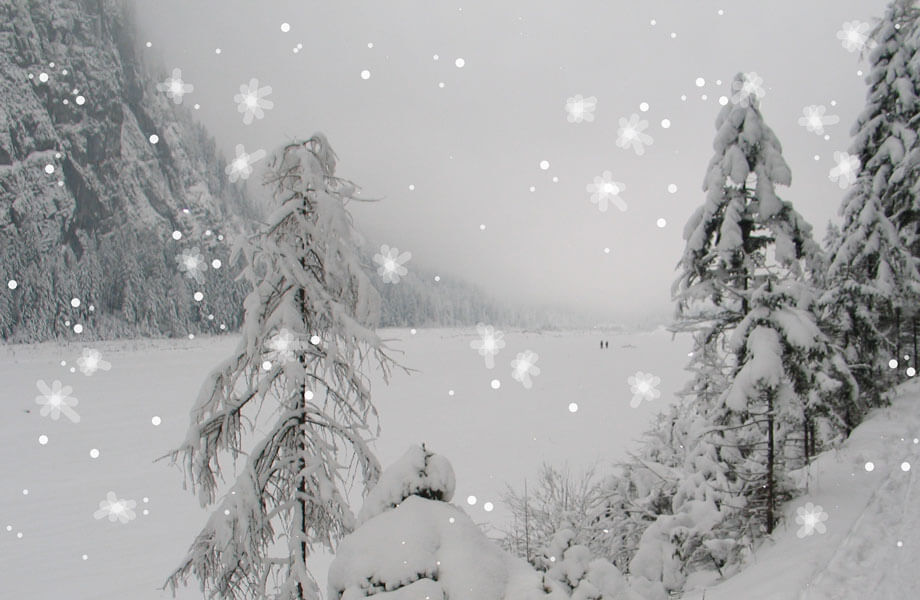 Winterlandschaft mit Schneeflocken