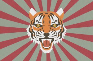 Tigerkopf mit gefletschten Zähnen. Illustration: Felicitas Labenz