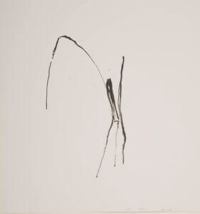 Bild: Michael C. Peters, 2001-2011 - Tusche auf Papier - 30 x 40
