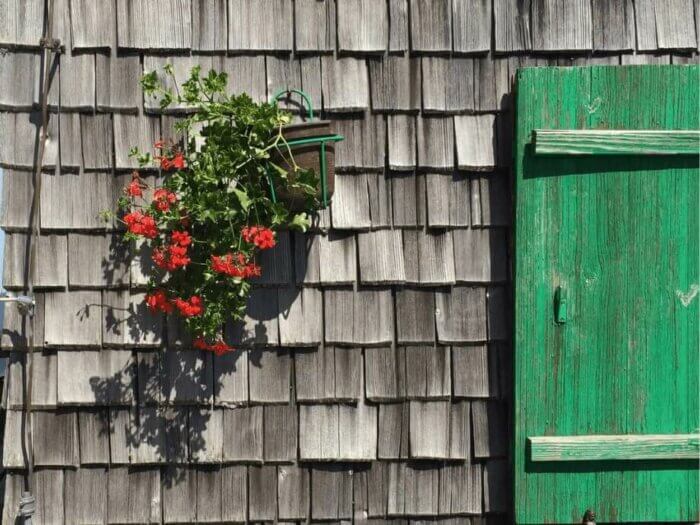 Eine Schindelwand mit roten Blumen, die in einem Topf an der Wand hängen, und grünen Fensterläden.