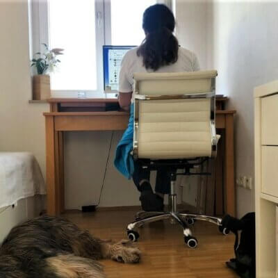 Eine Frau sitzt am Schreibtisch im Homeoffice, auf den Boden schläft ein Hund.