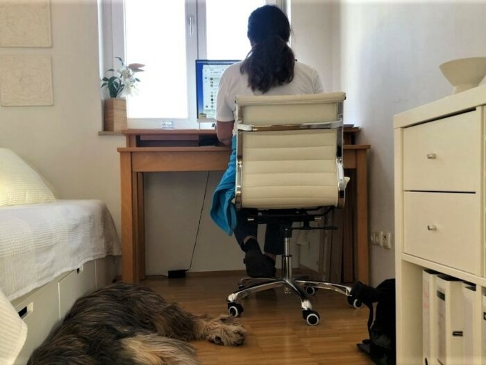 Eine Frau sitzt am Schreibtisch im Homeoffice, auf den Boden schläft ein Hund.