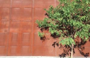 Ein Baum vor einer Wand aus Metallplatten.